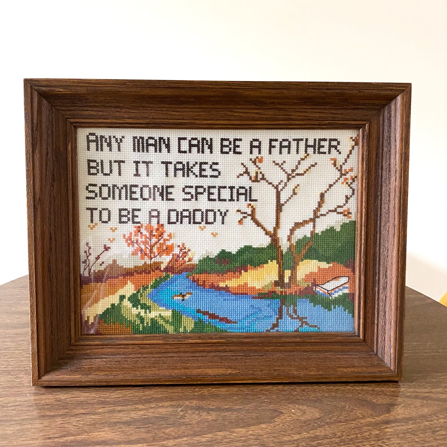“Any Man Can be a Father but it Takes Someone Special to be. Daddy” Framed Needlepoint